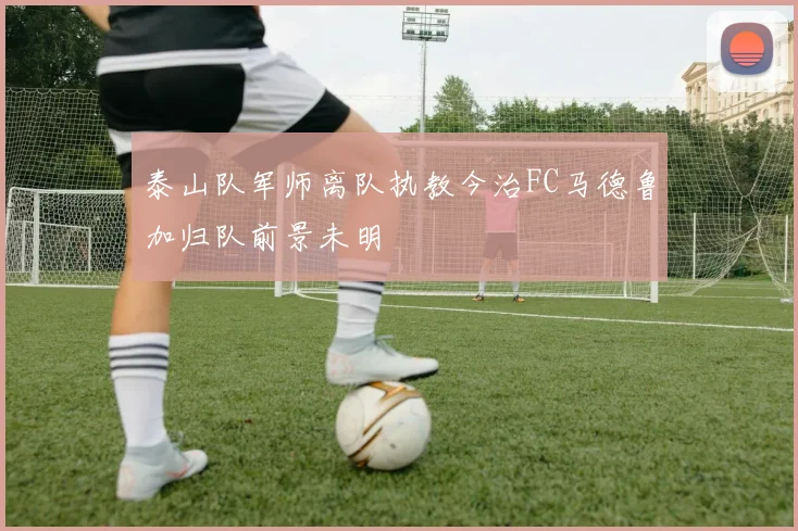 泰山队军师离队执教今治FC马德鲁加归队前景未明