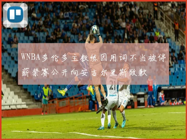 WNBA多伦多主教练因用词不当被停薪禁赛公开向安吉尔里斯致歉